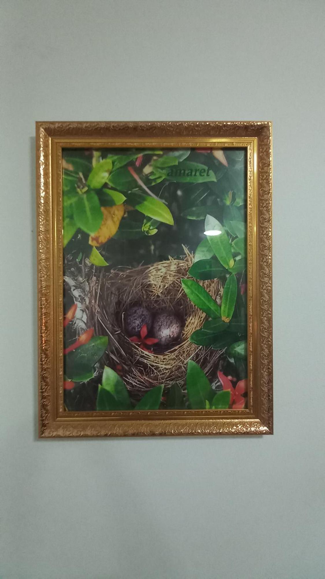 סוראט תאני Amaretto Hostel מראה חיצוני תמונה